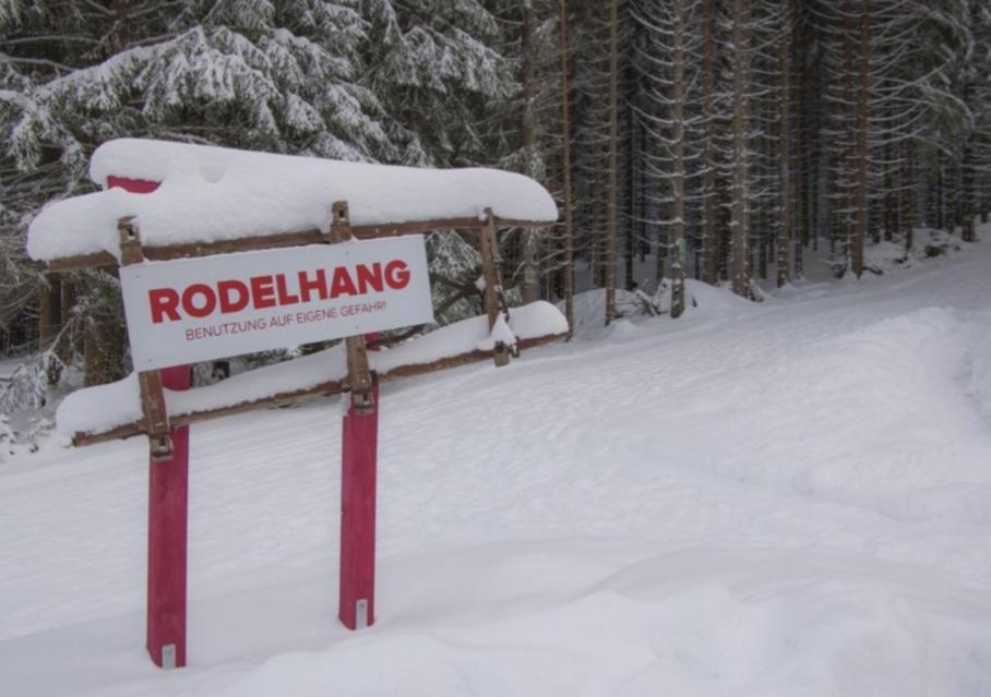 Erzgebirgsidyll Breitenbrunn Ferienwohnung エクステリア 写真