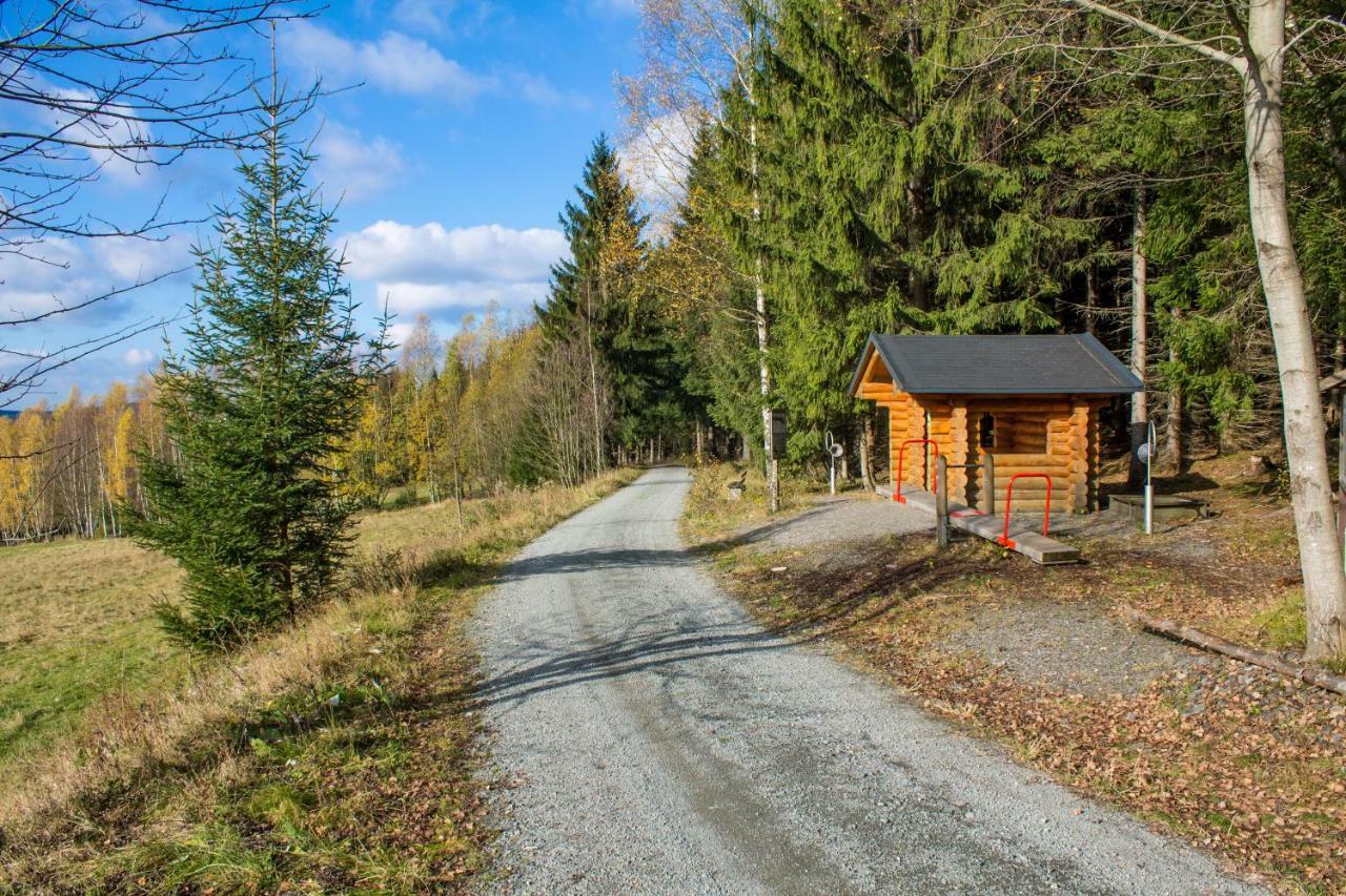 Erzgebirgsidyll Breitenbrunn Ferienwohnung エクステリア 写真